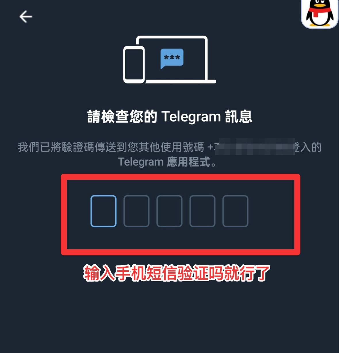 输入 Telegram 验证码示意图